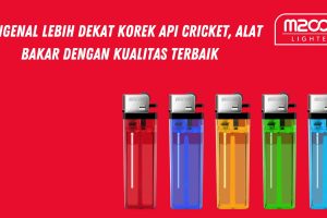 korek api cricket