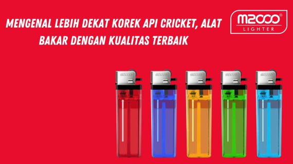 korek api cricket